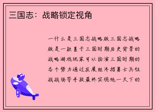 三国志：战略锁定视角